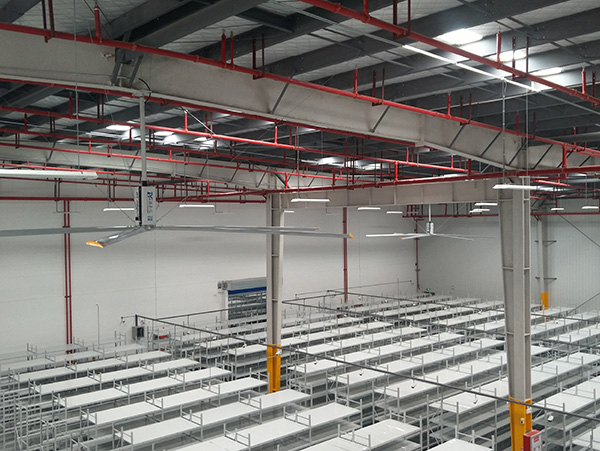 福泰工業(yè)大風(fēng)扇，一招解決高溫悶熱！